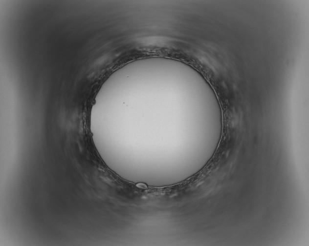 X0000114230965200910161607