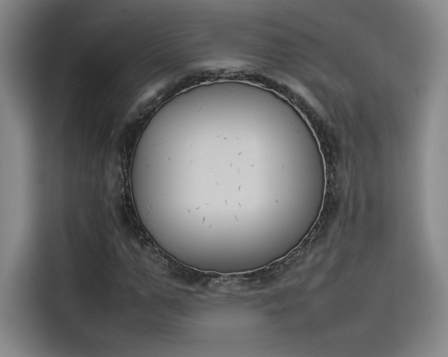 X0000114230967200910161607