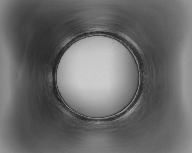 X0000114230969200910161607