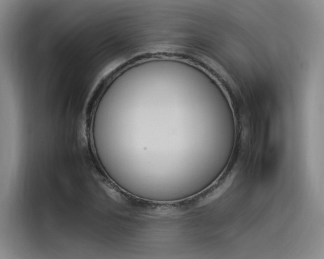 X0000114230974200910161607