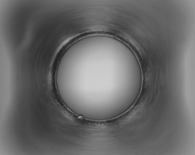 X0000114230975200910161607