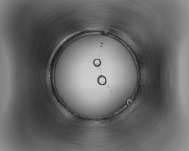 X0000114230976200910161607