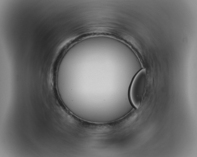 X0000114230979200910161607