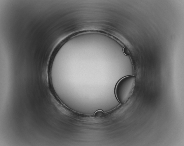 X0000114230980200910161607