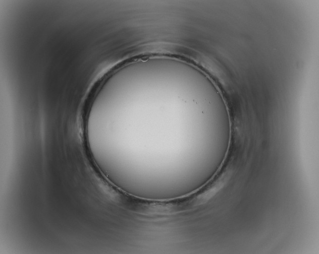 X0000114230981200910161607