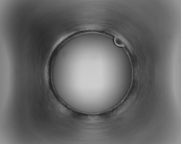 X0000114230983200910161607