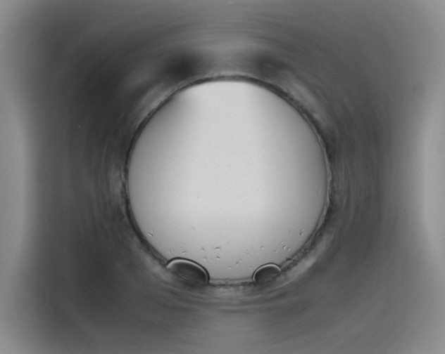 X0000114230985200910161607