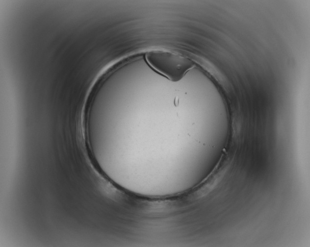 X0000114230988200910161607