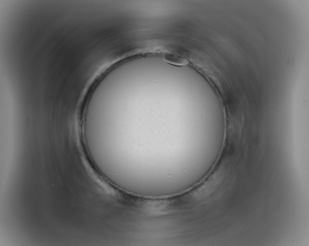 X0000114230989200910161607