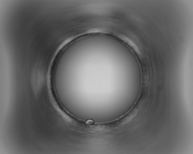 X0000114230991200910161607