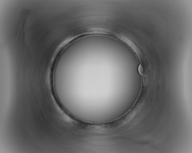 X0000114230995200910161607
