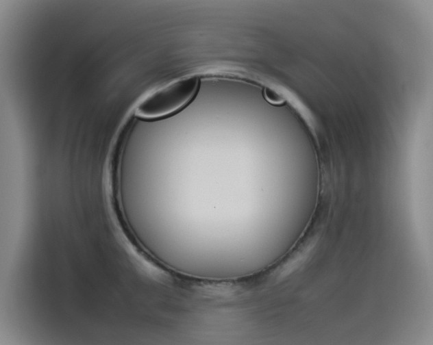 X0000114230999200910161607