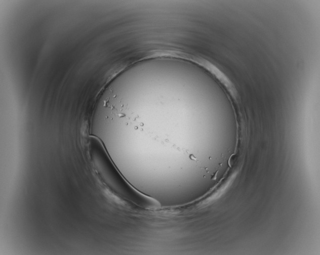 X0000114231001200910161607