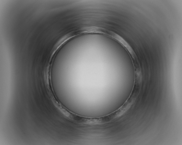 X0000114231002200910161607
