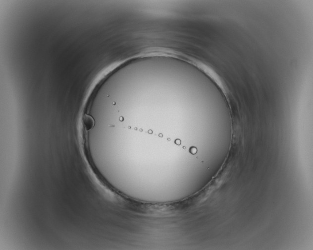 X0000114231003200910161607