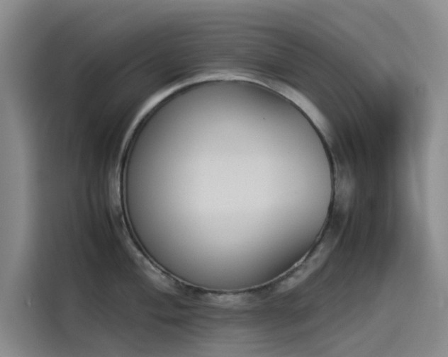 X0000114231004200910161607