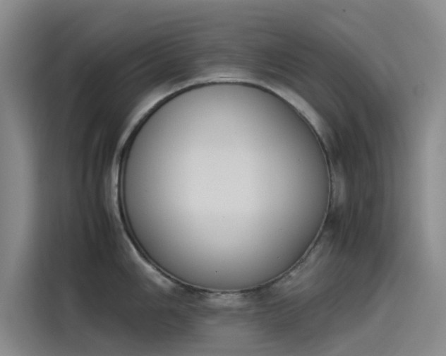 X0000114231006200910161607