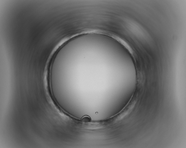 X0000114231007200910161607