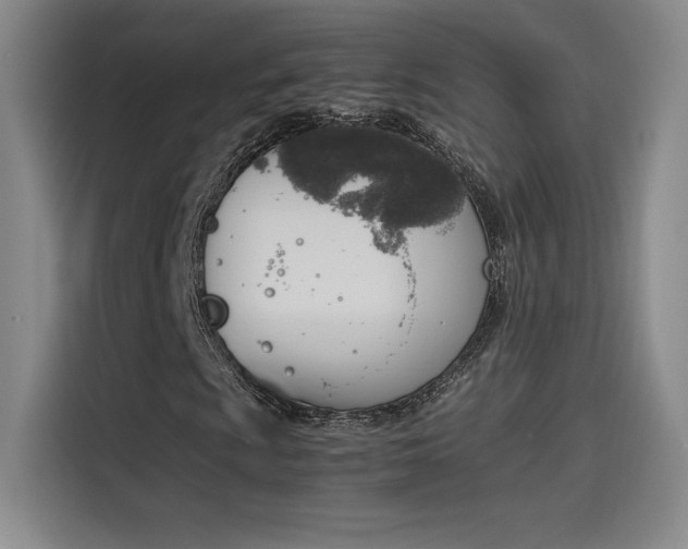 X0000114231009200910161606