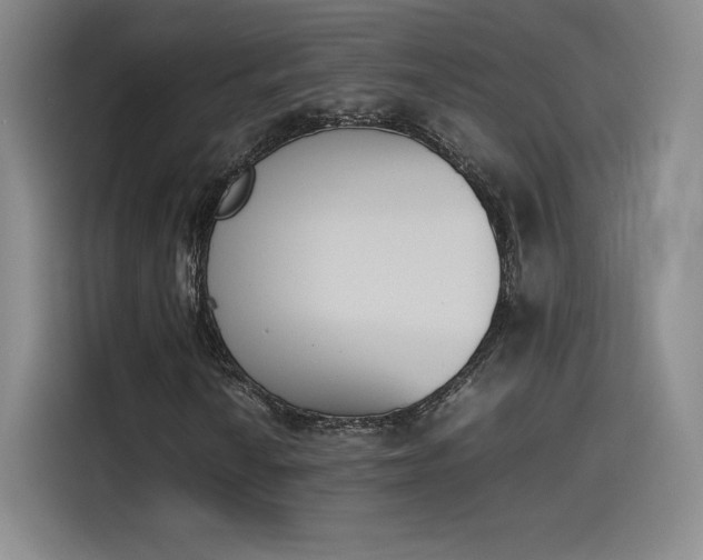 X0000114231010200910161606