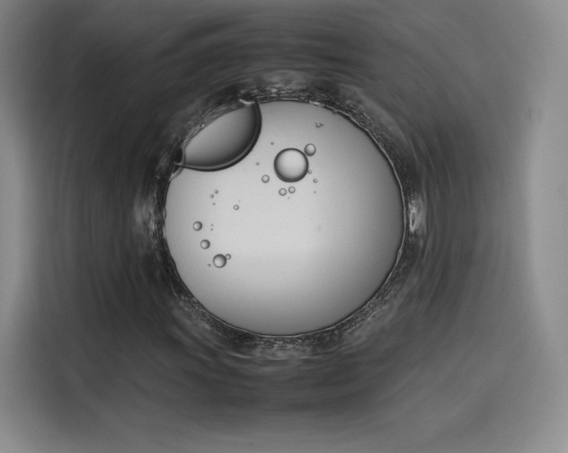 X0000114231011200910161606