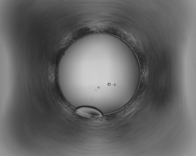 X0000114231012200910161606