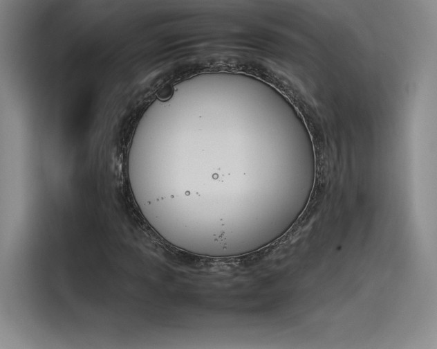 X0000114231013200910161606