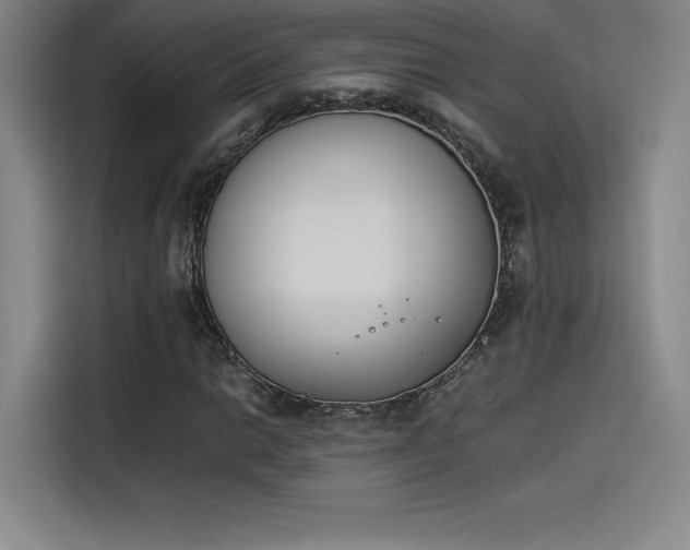 X0000114231014200910161606
