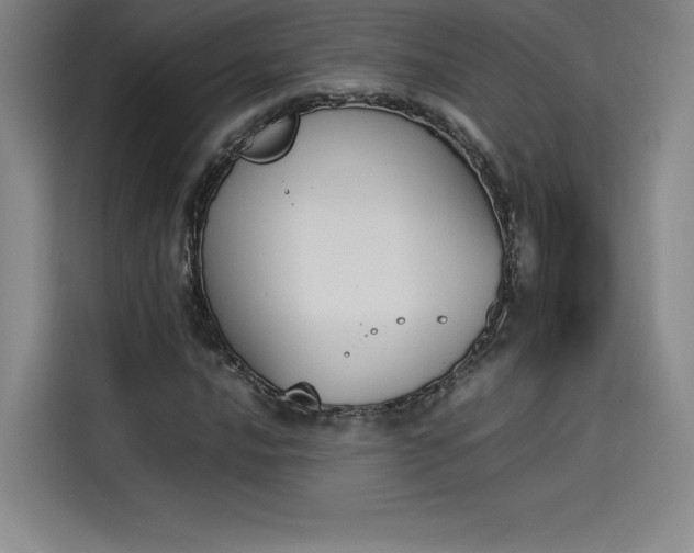X0000114231016200910161606