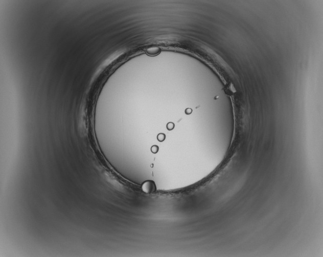 X0000114231018200910161606