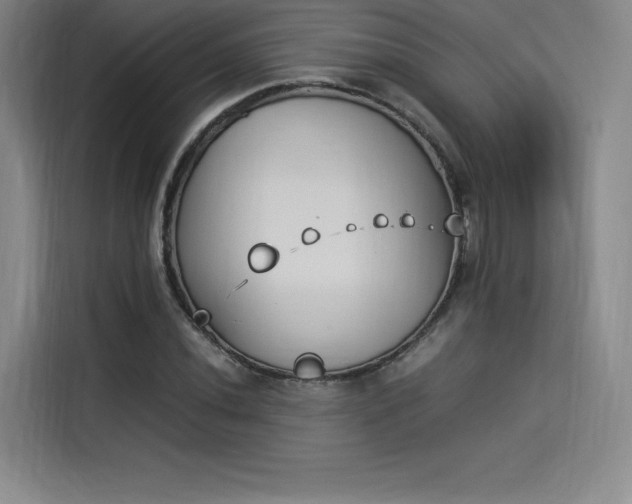 X0000114231020200910161606