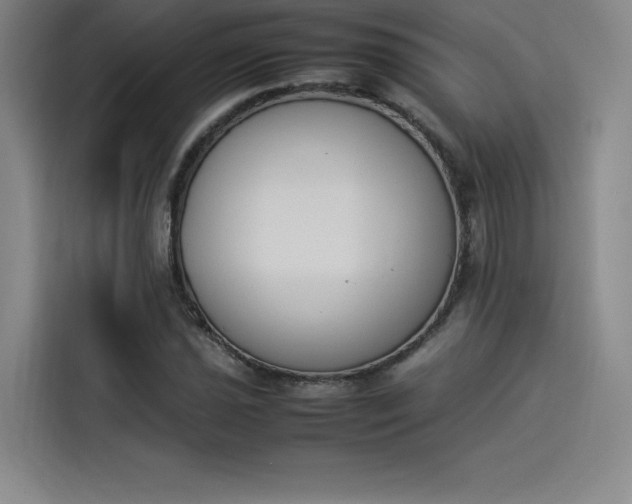 X0000114231021200910161606