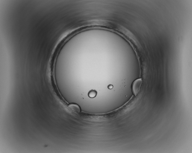 X0000114231024200910161606