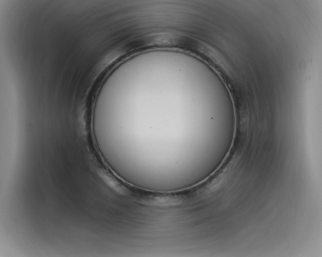 X0000114231026200910161606