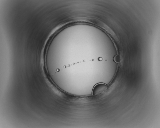 X0000114231028200910161606