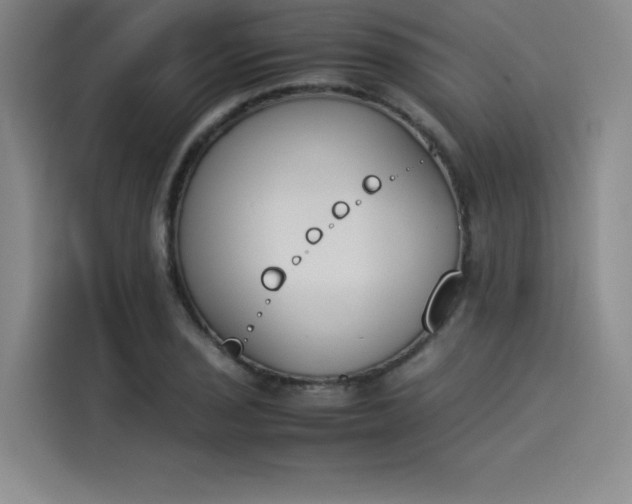 X0000114231029200910161606