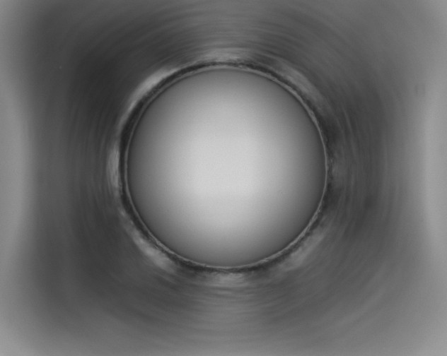 X0000114231030200910161606