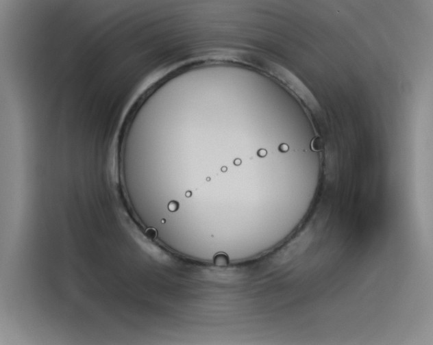 X0000114231036200910161606