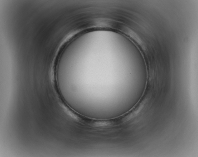 X0000114231037200910161606