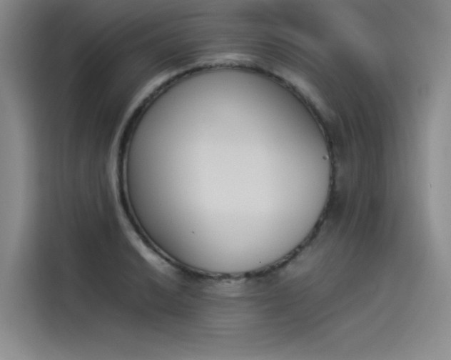 X0000114231038200910161606