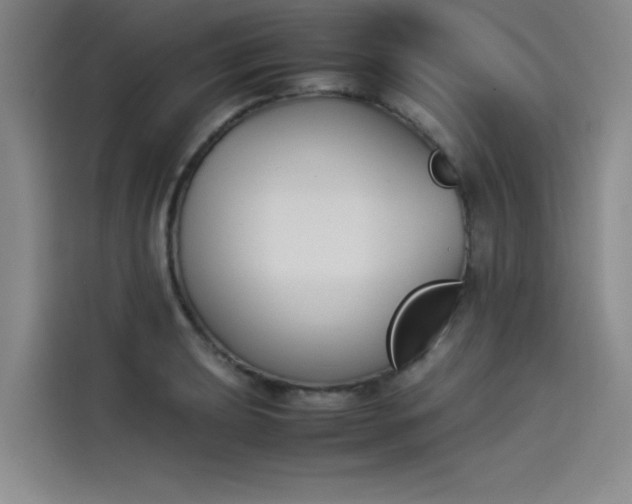 X0000114231039200910161606