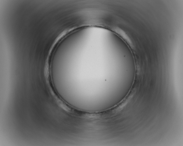X0000114231040200910161606