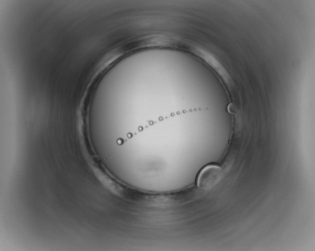 X0000114231042200910161606