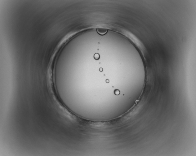X0000114231048200910161607
