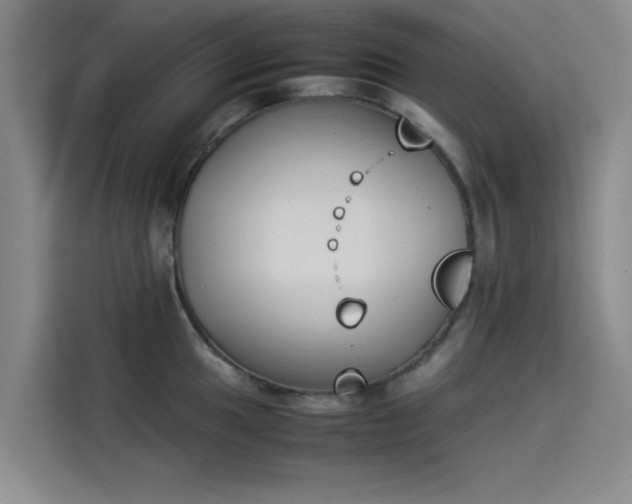 X0000114231049200910161607