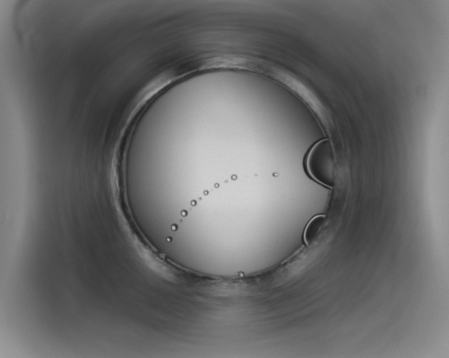 X0000114231050200910161607
