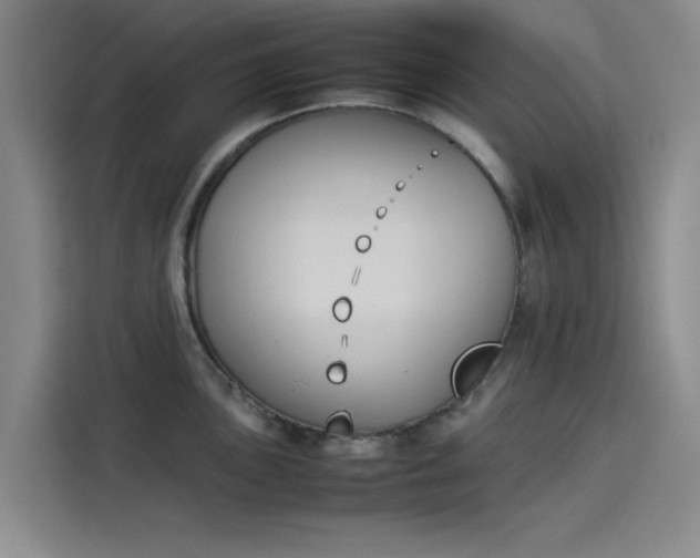 X0000114231051200910161607