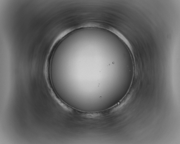 X0000114231053200910161607