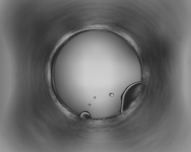 X0000114231054200910161607