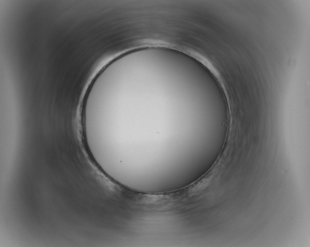X0000114231056200910161607